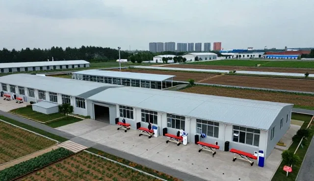 健康咨询在不同场景下的适用性与性能表现
